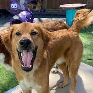 Meet your Posher, Faith